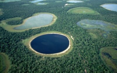 WhatsApp bloqueado em 2026? Veja como a gente conseguiu reverter